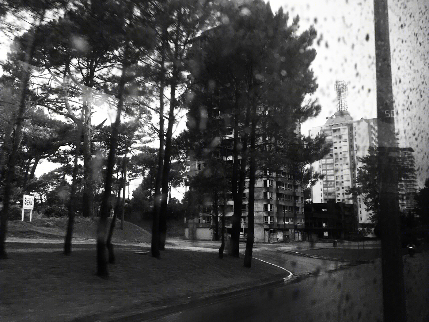 单色的-9