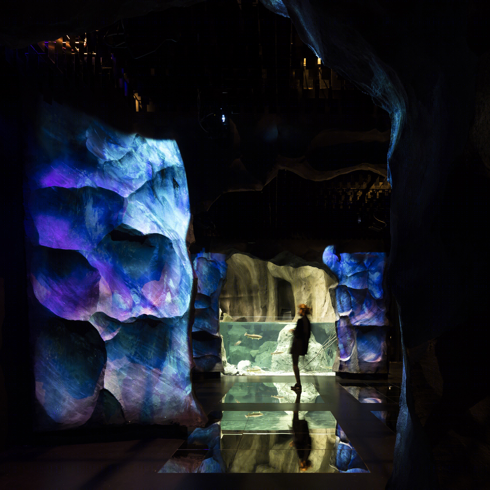 洛桑水族馆（Lausanne Aquarium）-28