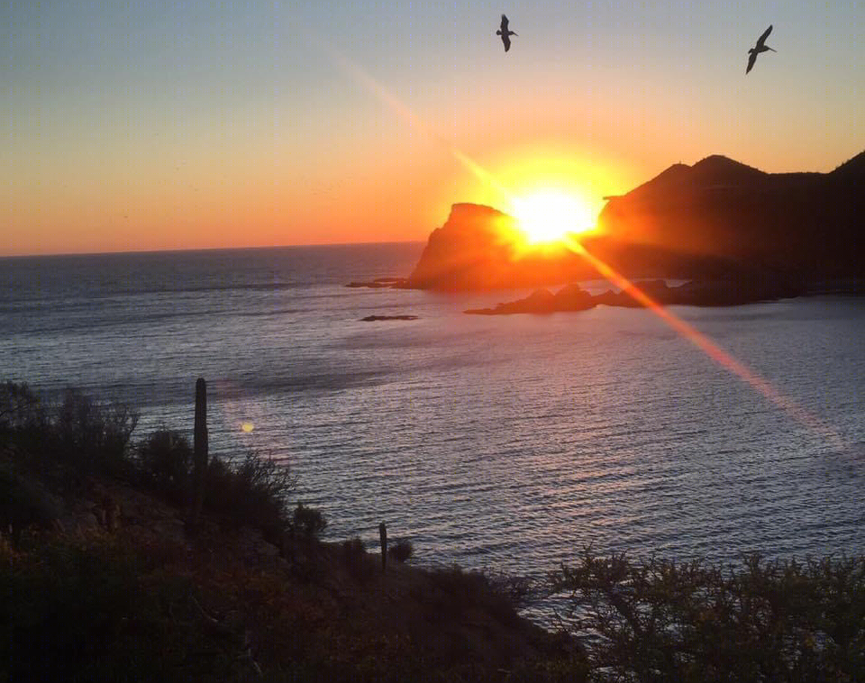 Sonora México-8