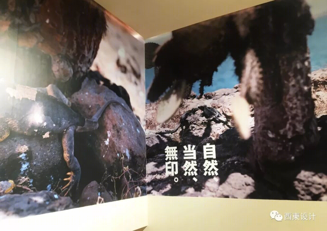 深业上城 | 小镇++ 品牌街++ 商场,遇见不一样的商业综合体-60