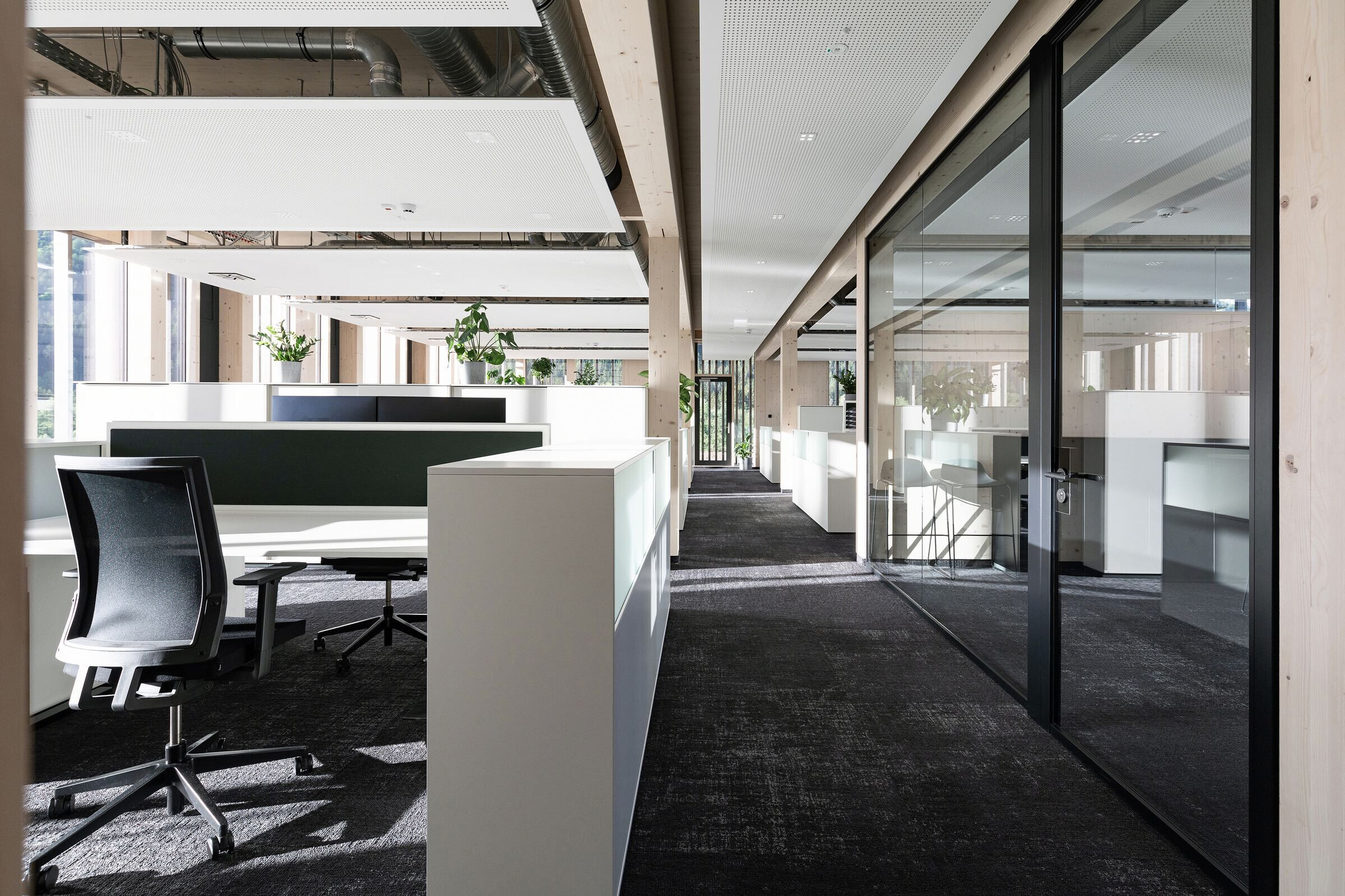 Theurl 公司 CLT 办公室设计丨奥地利丨ATP architects engineers-15