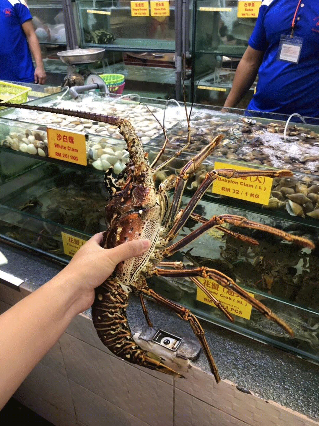 沙巴流浪记 | 美食、美景与美人-18