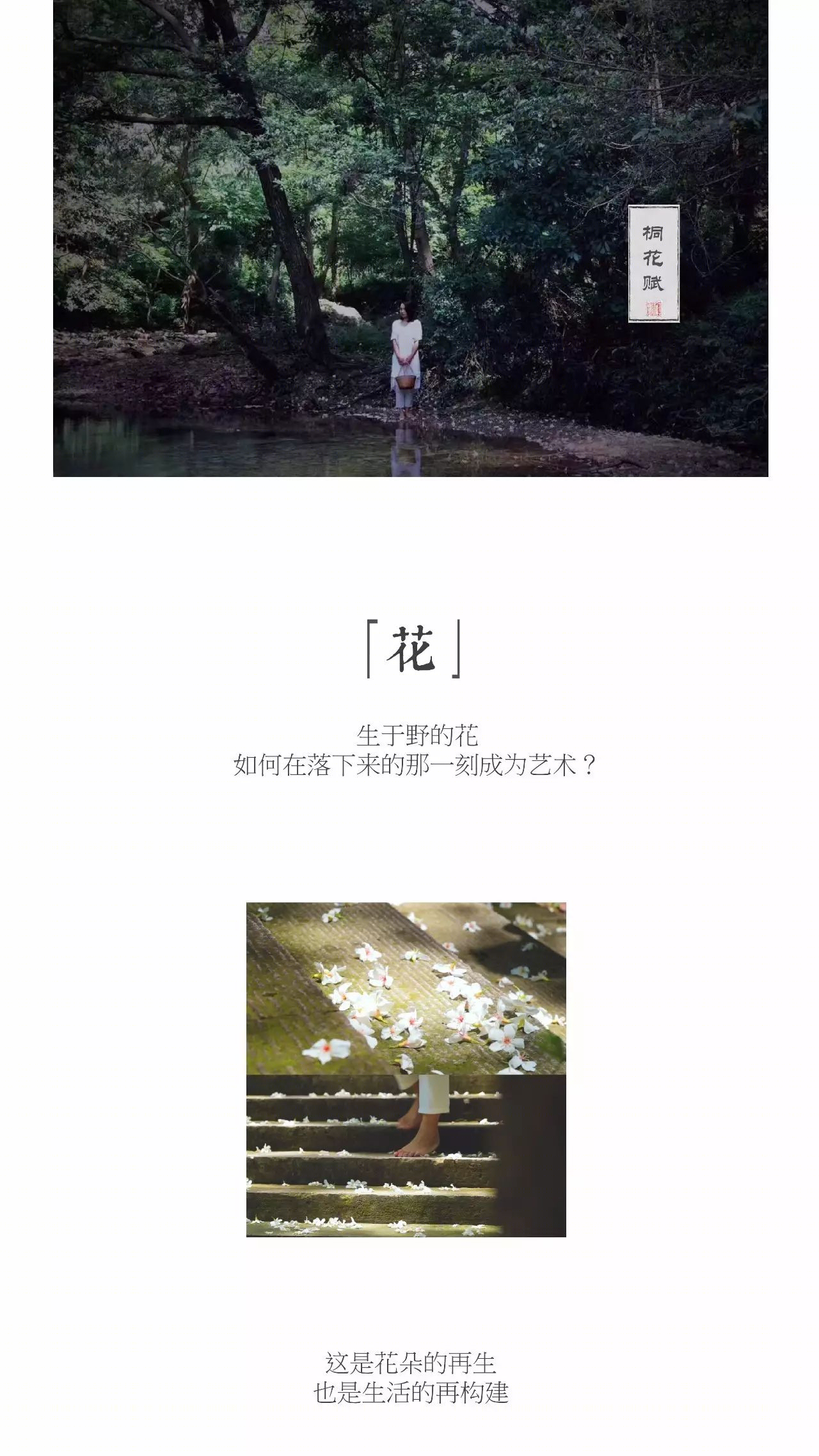 雁山云野花事 | 自然之美与生活的艺术交融-43