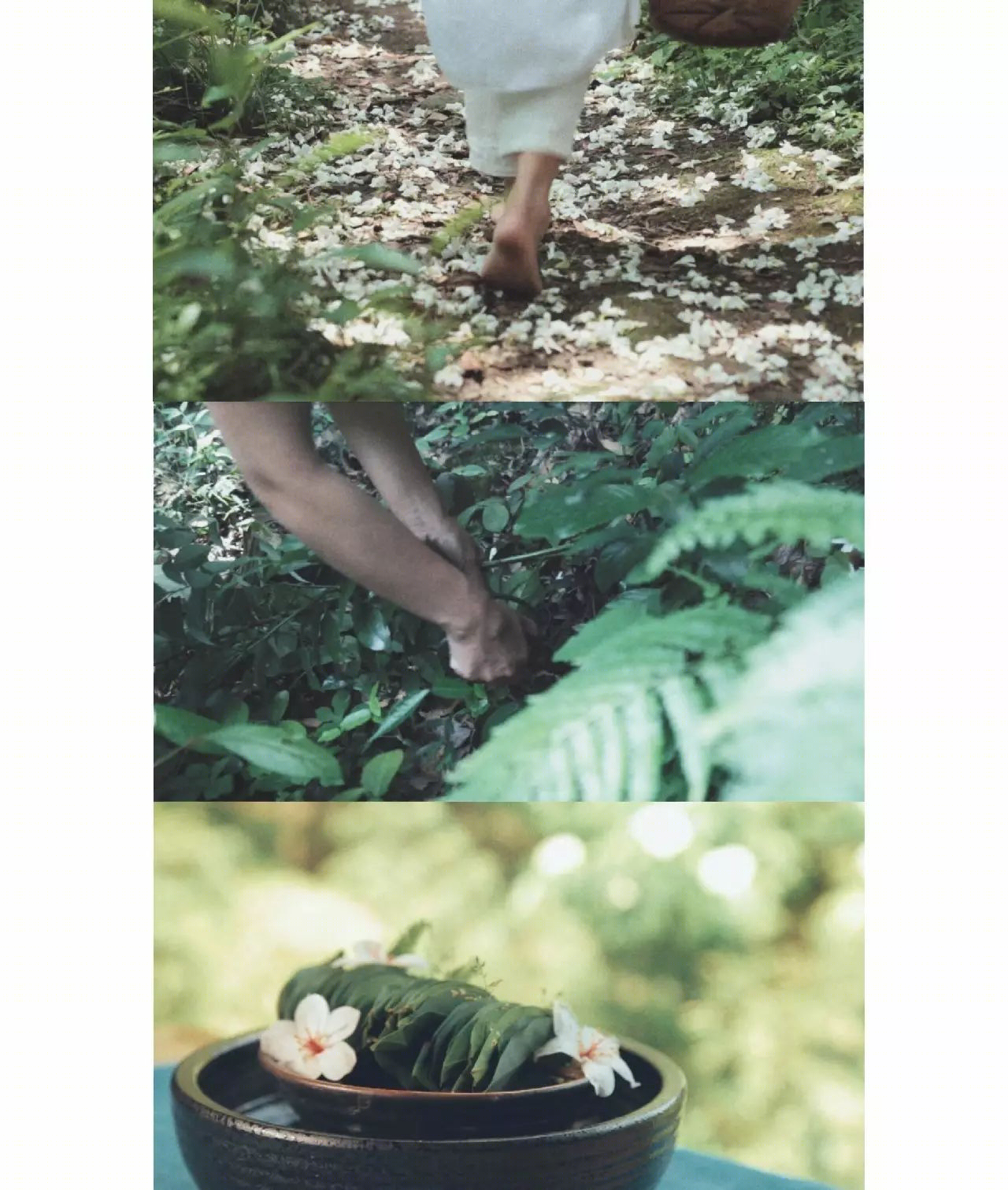 雁山云野花事 | 自然之美与生活的艺术交融-45