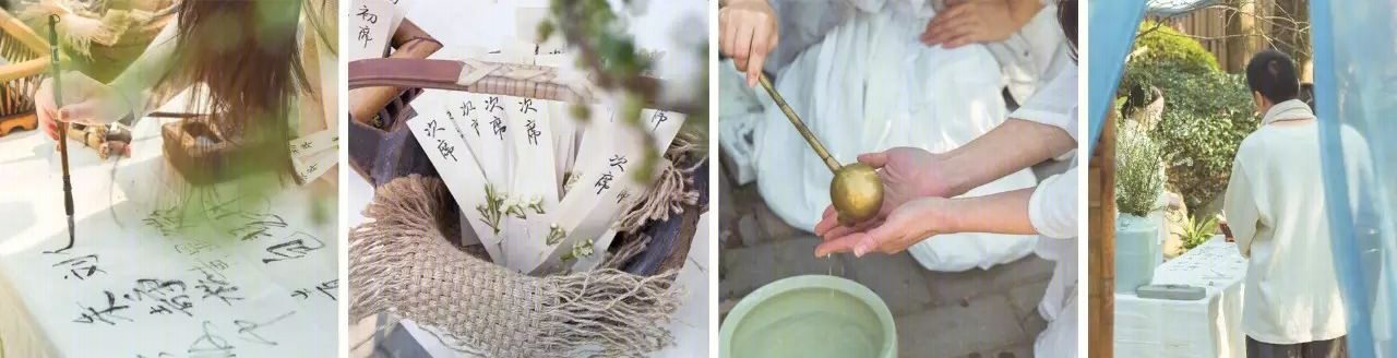 梅林寻梦 | 永嘉原野庄园梅园-17