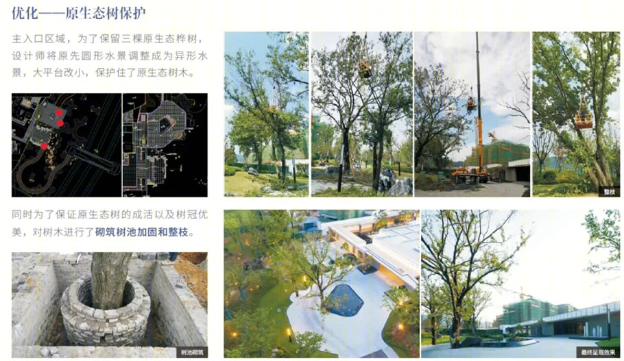 雅达·松下社区示范区丨中国江苏丨浙江蓝颂园林景观设计集团有限公司-46