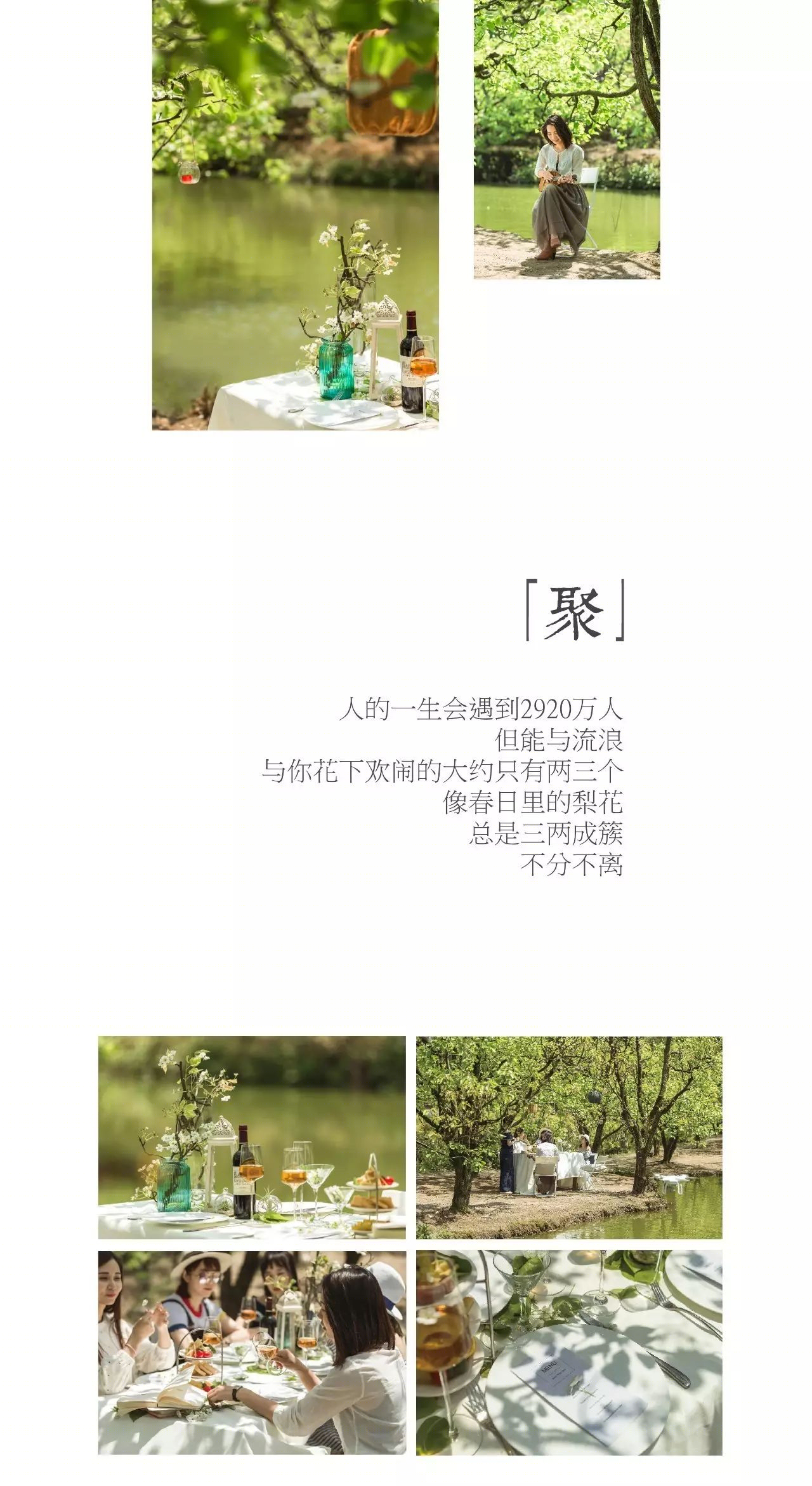 雁山云野花事 | 自然之美与生活的艺术交融-51