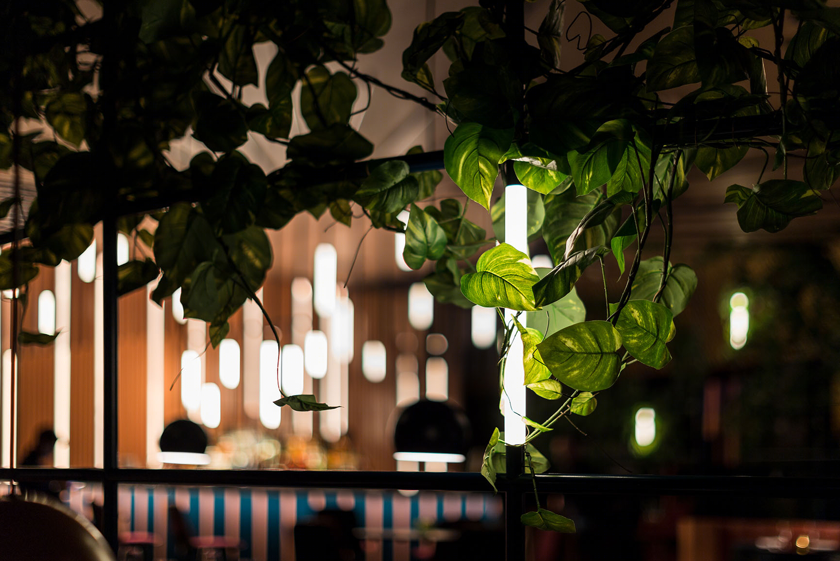 Ling Ling, Hakkasan Radius Design-1