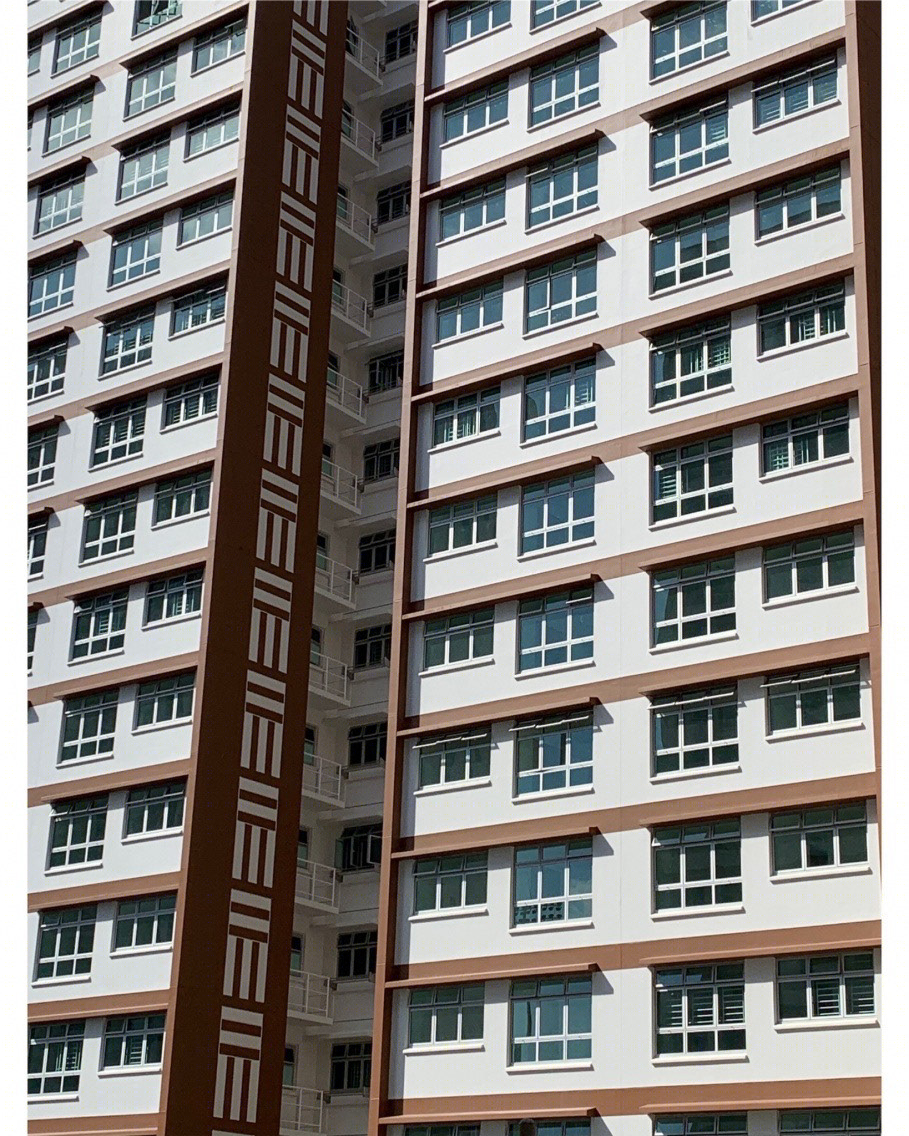 Anastasiya Gushchina丨公寓建筑丨HDB facades-0