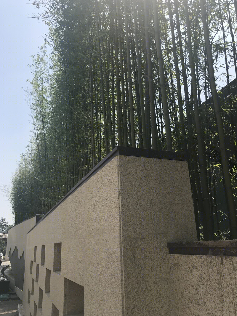 北京光科技馆景观设计-16