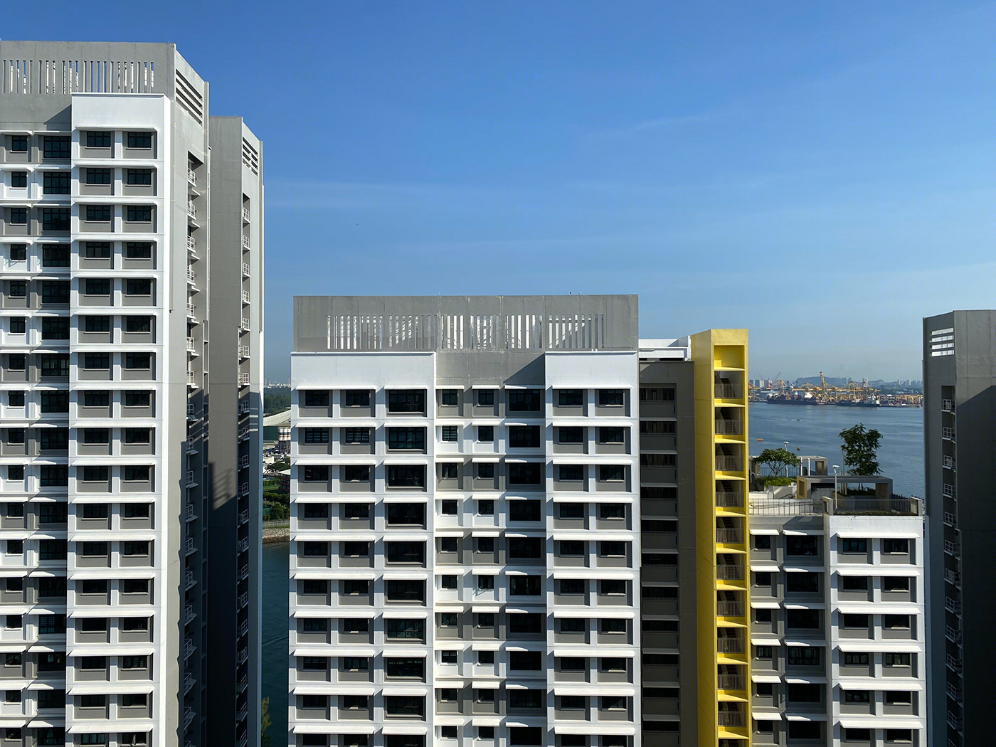 Anastasiya Gushchina丨公寓建筑丨HDB facades-1