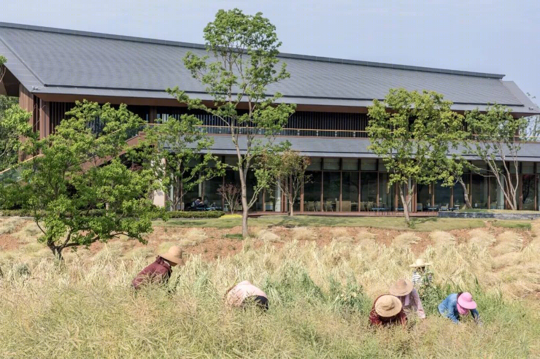 高新黑稻田丨中国西安丨深圳市阿特森景观规划设计有限公司-144