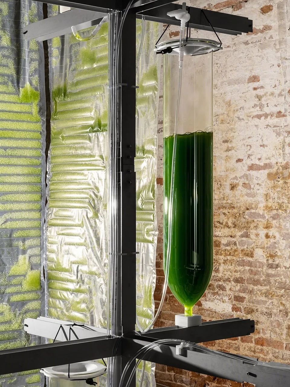 威尼斯建筑双年展上的生物实验装置·BIT·BIO·BOT丨法国尼斯丨ecoLogicStudio-22