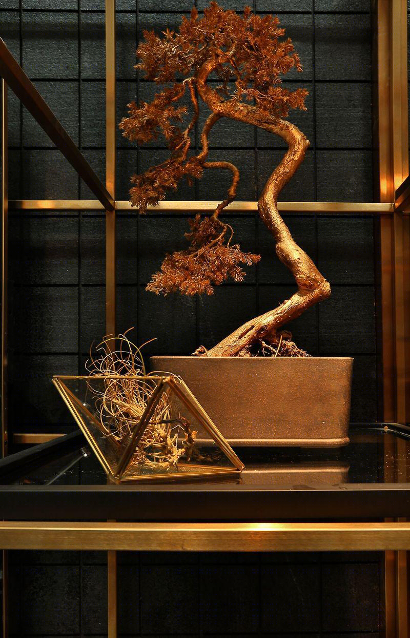 未来废墟中的光合实验室——成都 IFS 花店形象设计-9