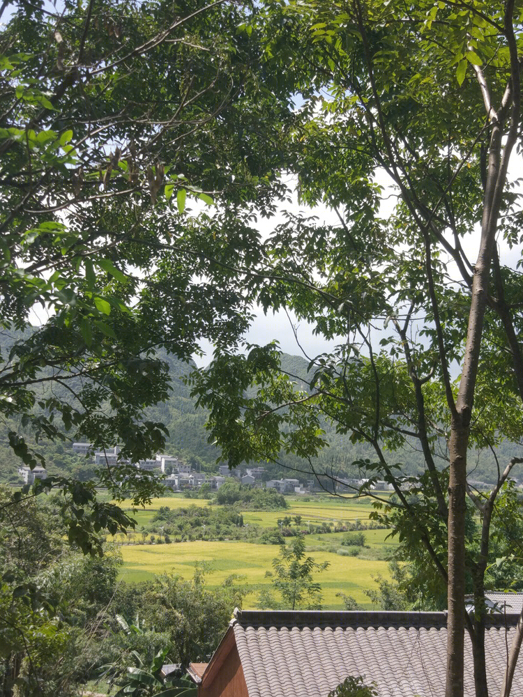 贵州万峰林石宅-15