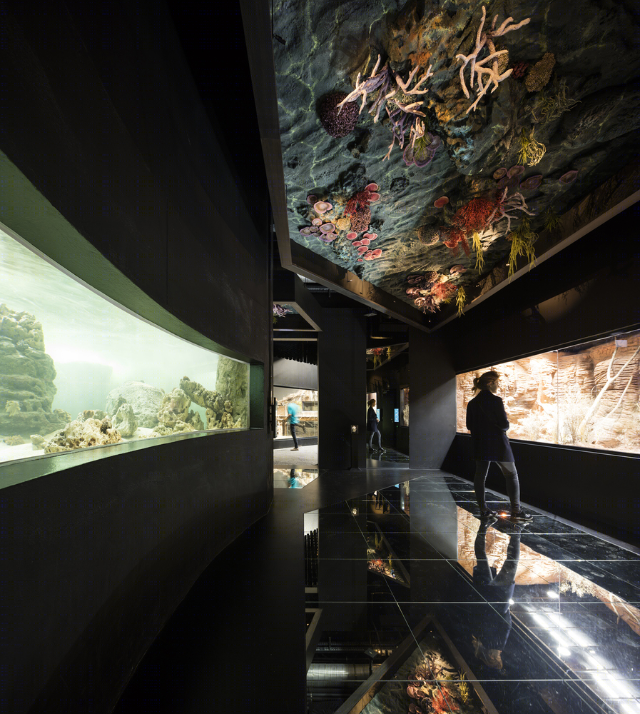 洛桑水族馆（Lausanne Aquarium）-31