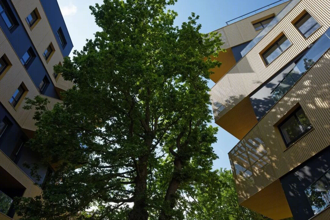 “交错金字塔”住宅公寓 | 适应性强的北立面设计-38