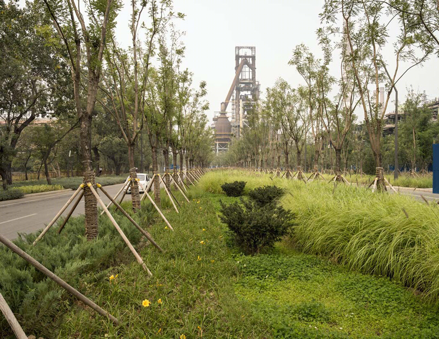 首钢晾水池东路景观-14