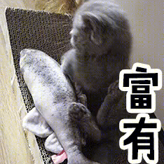 浴室洗衣机大清洁!水卫仕清洁剂实力测评-147