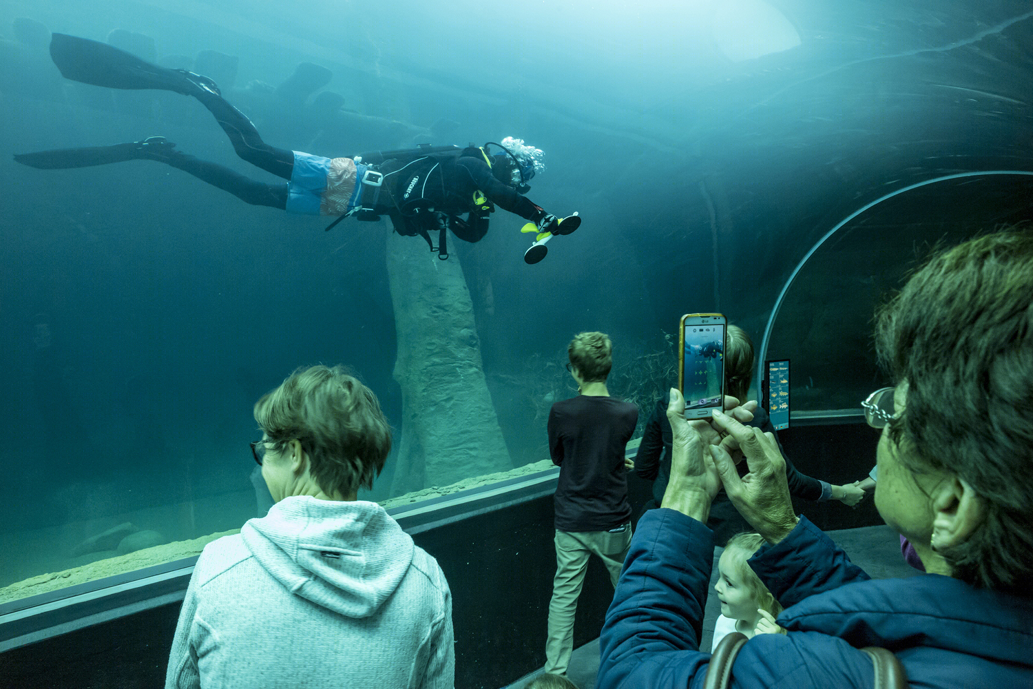 洛桑水族馆（Lausanne Aquarium）-33