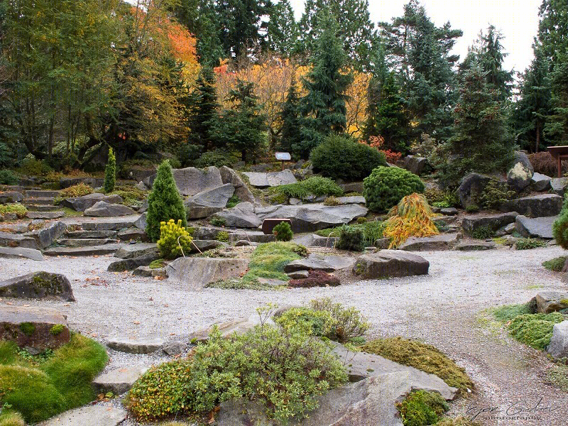 美国贝尔维尤植物园（America Bellevue Botanical Garden）-29