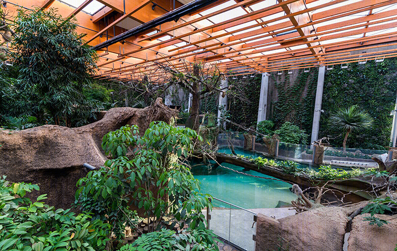 波兰afrykarium海洋水族馆丨ARC2 fabryka projektowa建筑事务所-23