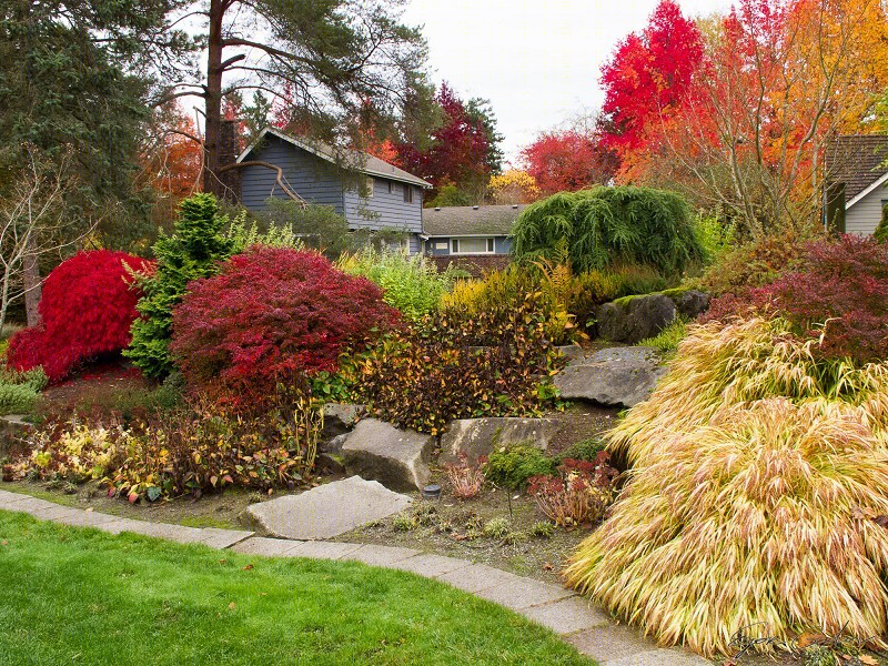 美国贝尔维尤植物园（America Bellevue Botanical Garden）-30
