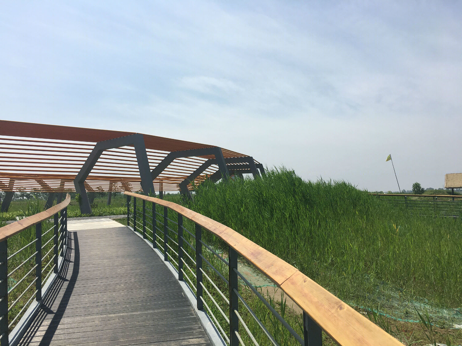 沣河滨河公园-39