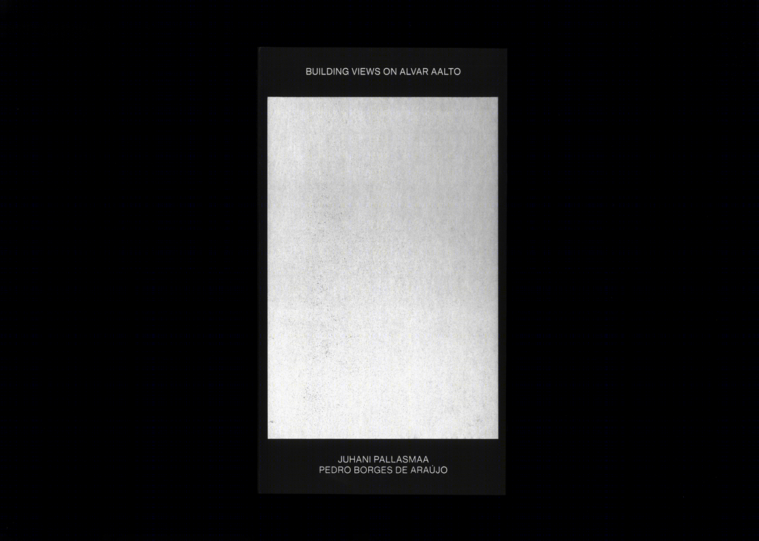 Building Views on Alvar Aalto-2