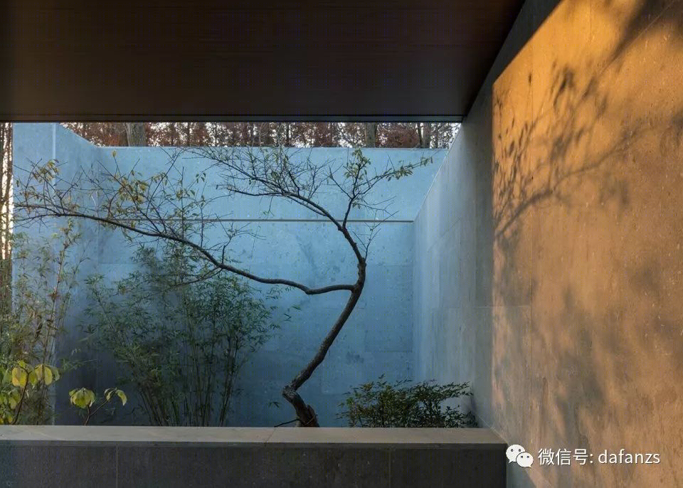 南京绿城桃花源·赫餐厅——原生水杉林中的生态建筑-46