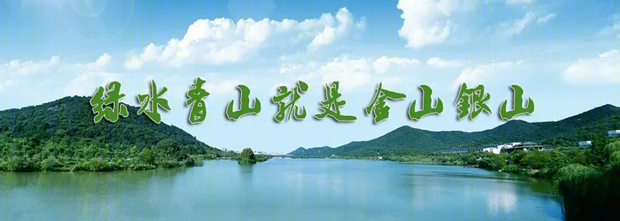 绿城安吉桃花源未来山别墅设计-31