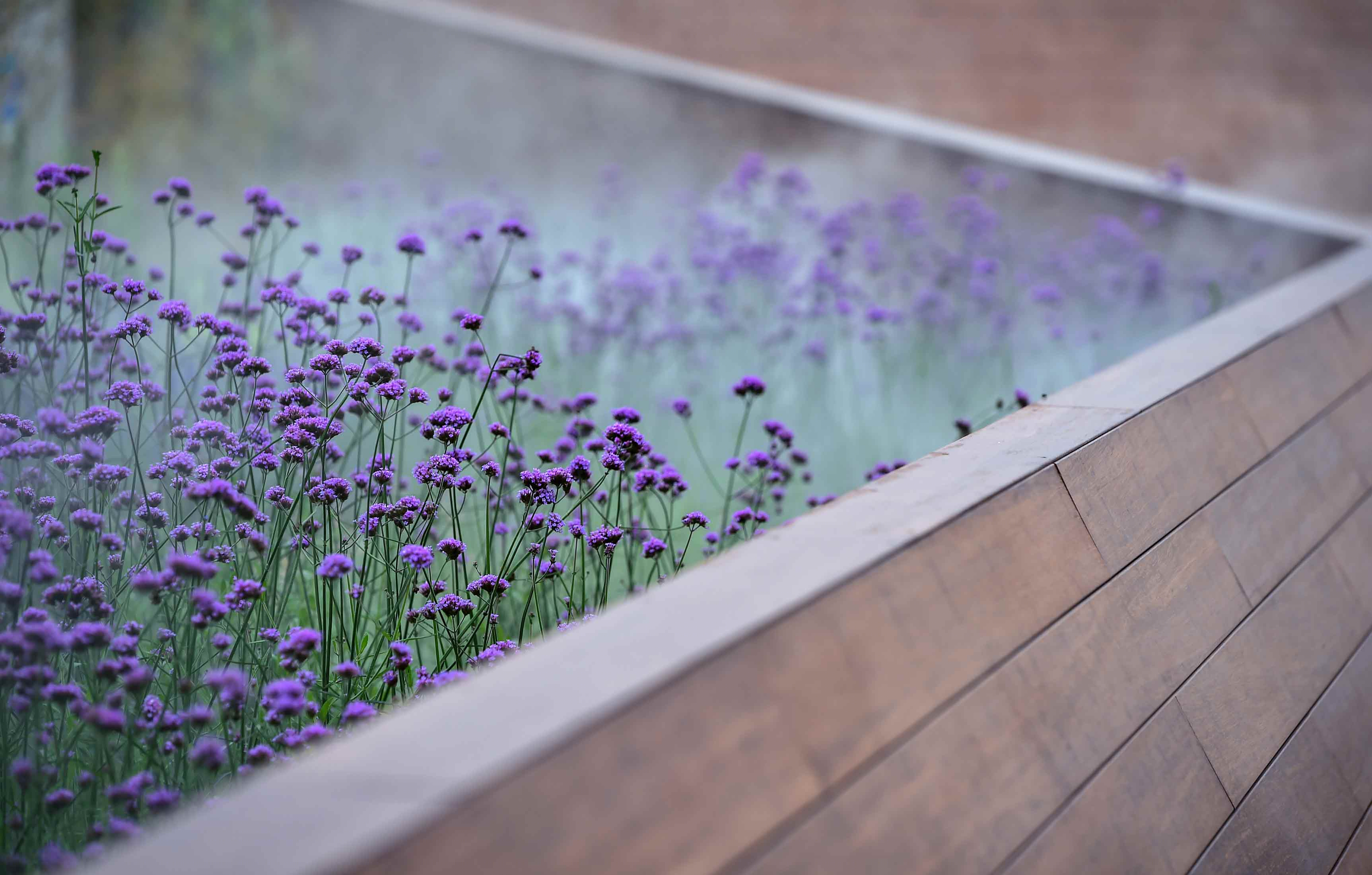 龙湖景粼玖序示范区景观-14