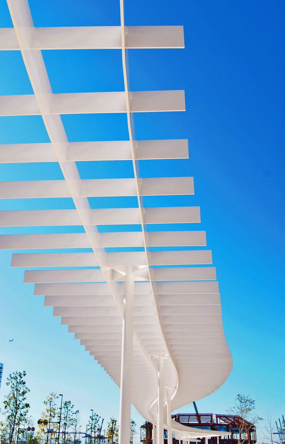 日本儿童医院-15