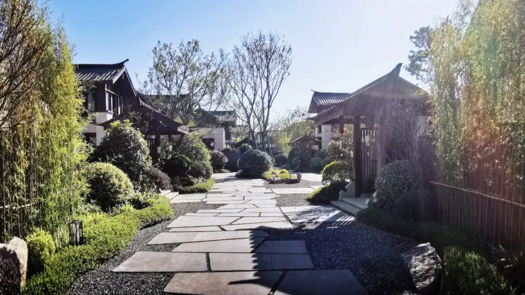 世茂御榕·武夷舟行度假酒店丨中国福建丨J STUDIO 捷仕建筑-143