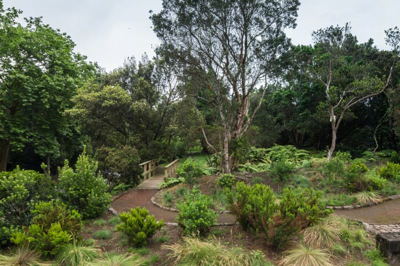 葡萄牙FAIAL植物园-29