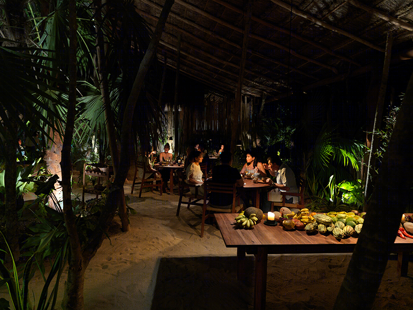 墨西哥NOMA森林餐厅-2