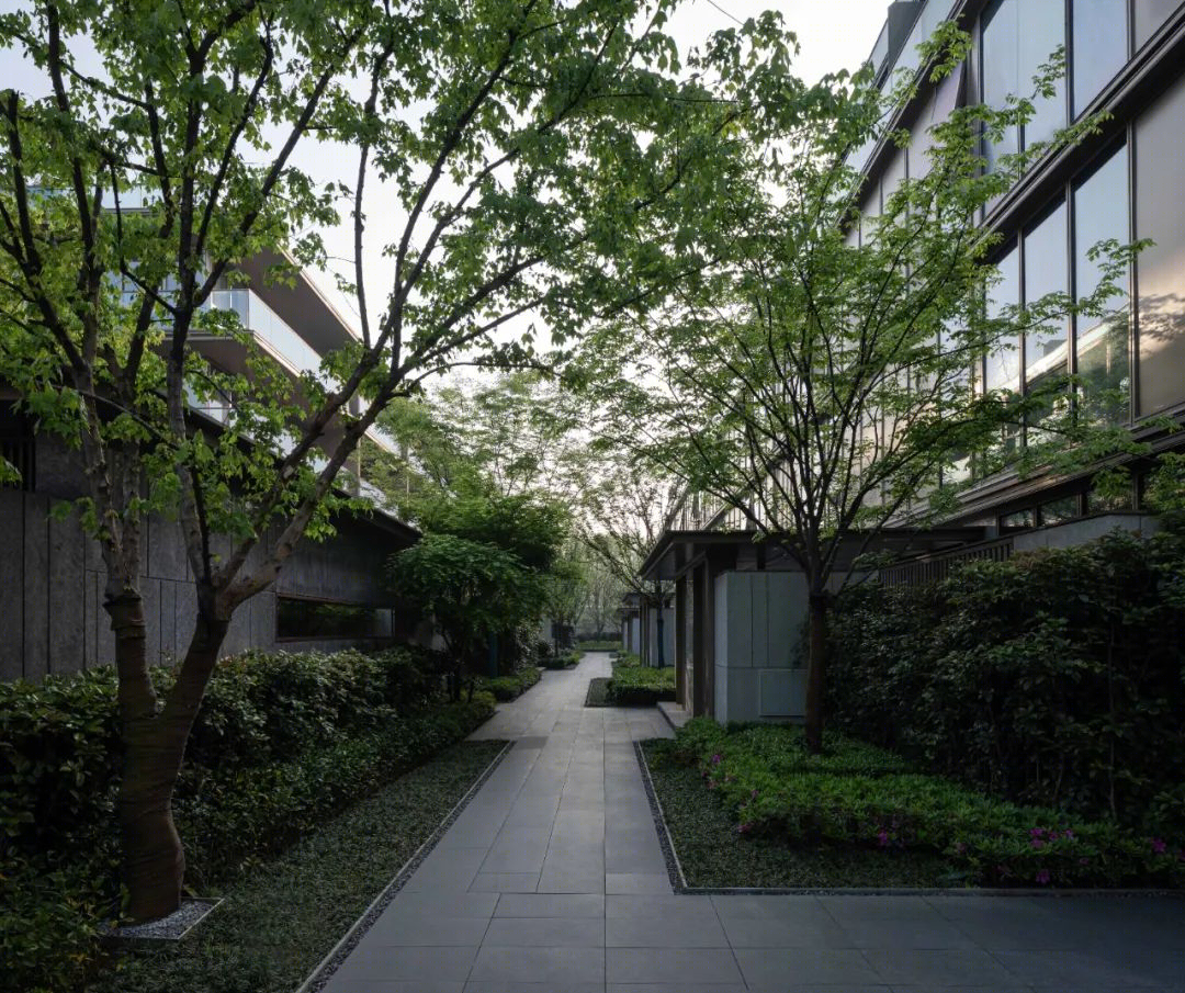 Trees Villa 叠墅丨中国杭州丨绿城-43