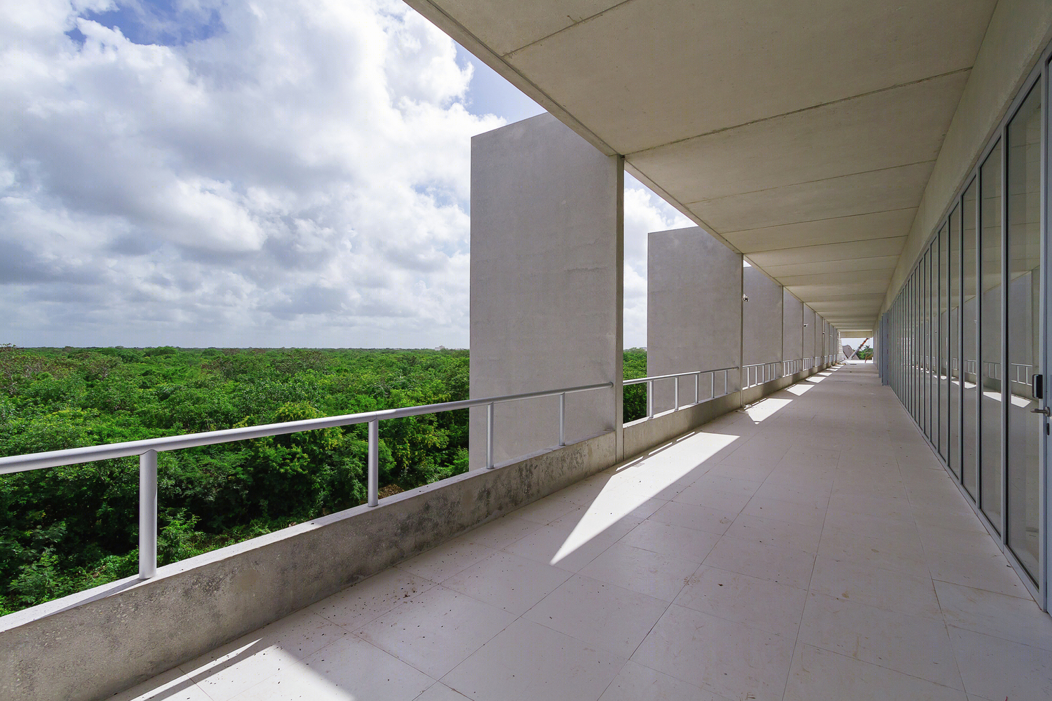 墨西哥TecniA生物技术研究所丨Augusto QuijanoArquitectos-67