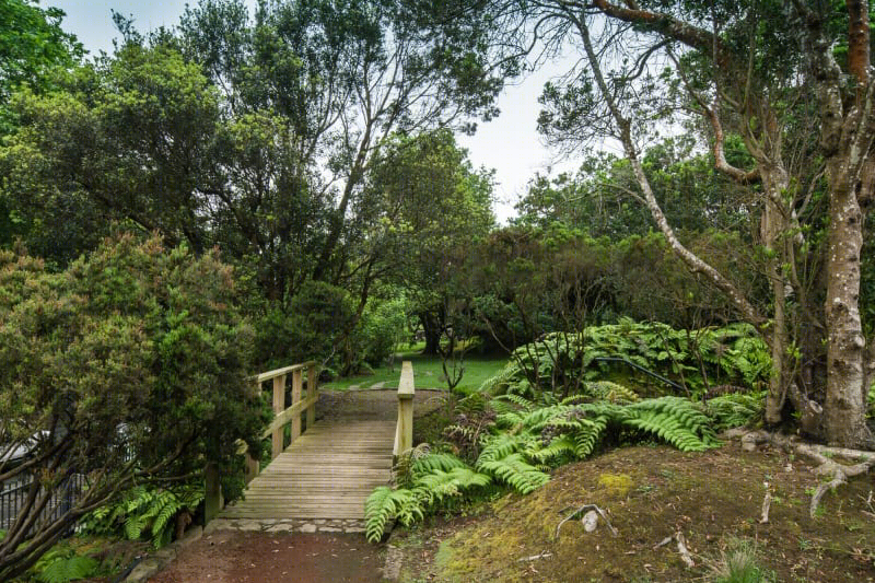 葡萄牙FAIAL植物园-30