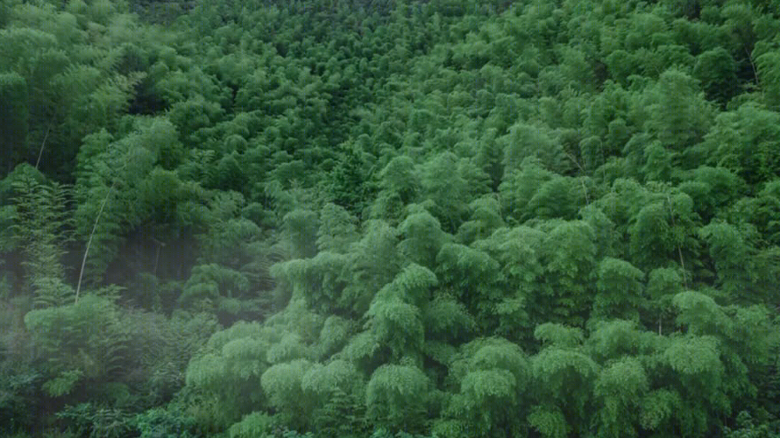 绿城安吉桃花源未来山别墅设计-45