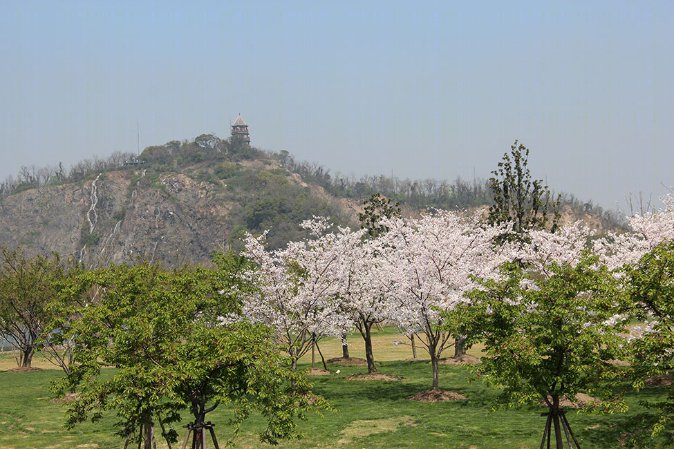 上海辰山植物园-16