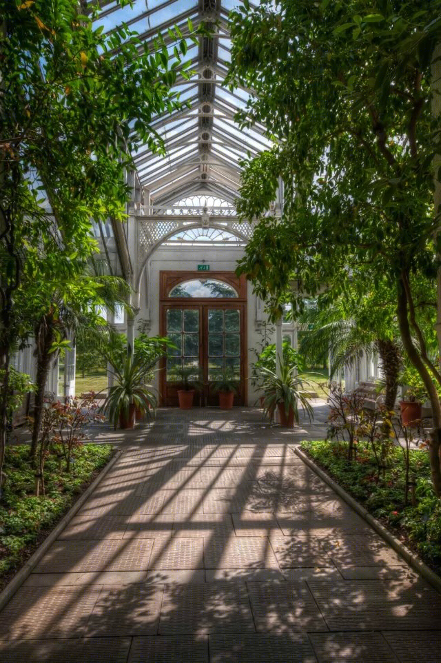 英国皇家植物园——世界文化遗产的绿色秘境-31