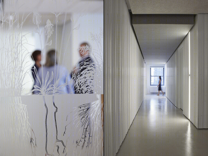 美国自然资源保护委员会办公室丨Studio Gang Architects-12