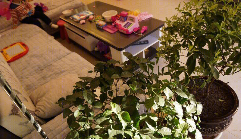 仙林金谷洋房-24