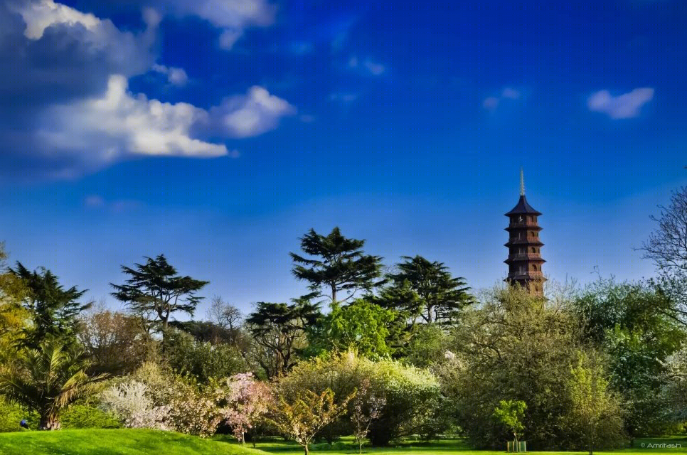 英国皇家植物园——世界文化遗产的绿色秘境-33