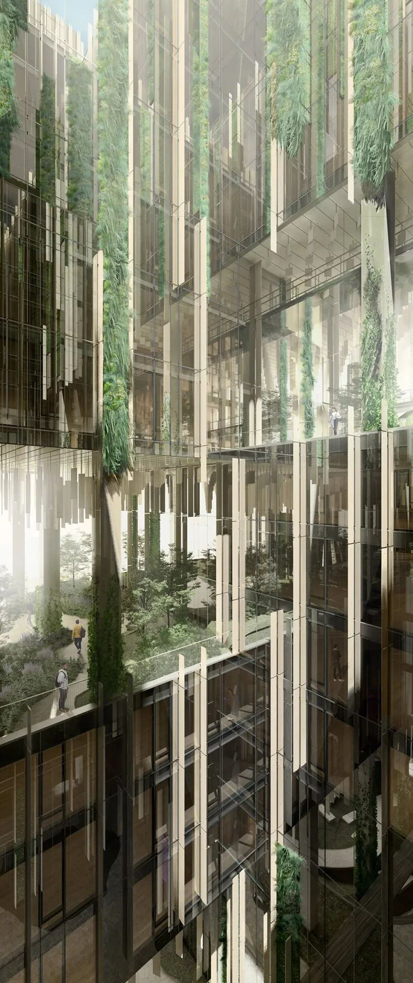 “公园栖息地”丨美国丨隈研吾(KKAA)与adamson助理建筑师合作-20
