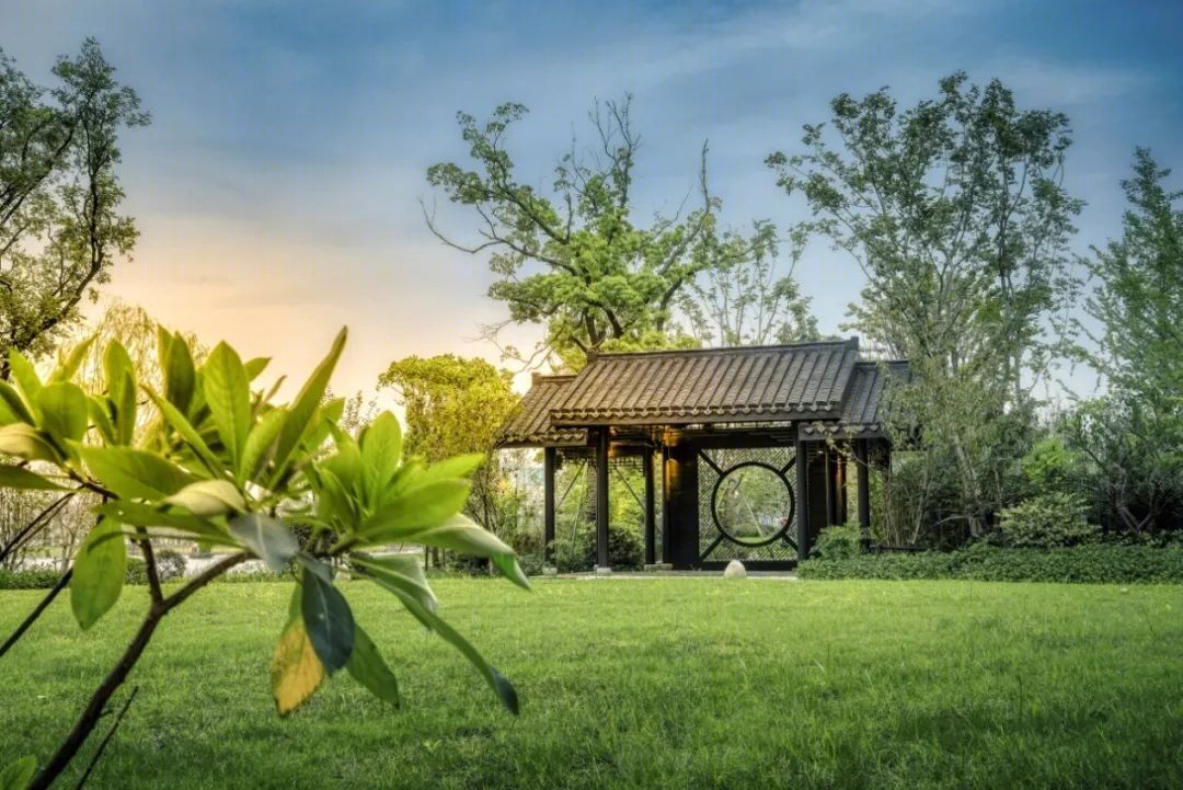 地域特色度假酒店设计丨中国西双版纳丨竹景景观-77