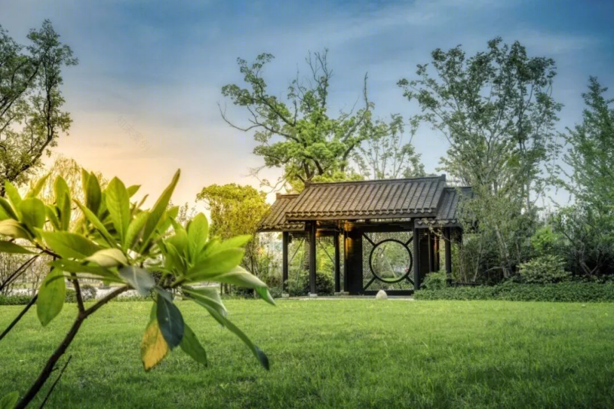 地域特色度假酒店设计丨中国西双版纳丨竹景景观-77