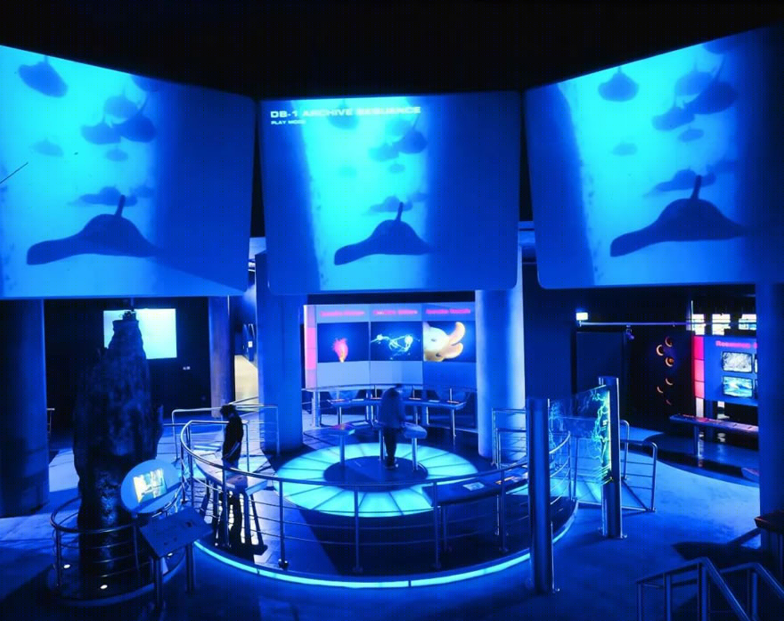 The Deep 水族馆丨英国丨Farrells 法雷尔-23