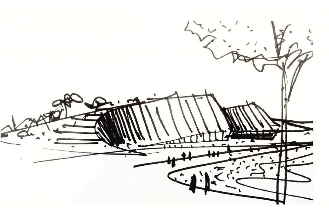 深圳自然博物馆丨贝加艾奇(B+H),3XN,筑博设计（联合体）-14